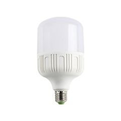 40W 6500K E27 DUYLU BEYAZ IŞIK TORCH LED AMPUL