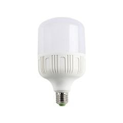 40W 6500K E27 DUYLU BEYAZ IŞIK TORCH LED AMPUL